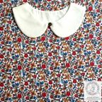 ���̑��̉摜