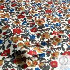 ���̑��̉摜