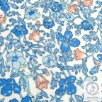 ���̑��̉摜