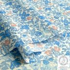 ���̑��̉摜