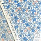 ���̑��̉摜