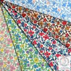 ���̑��̉摜