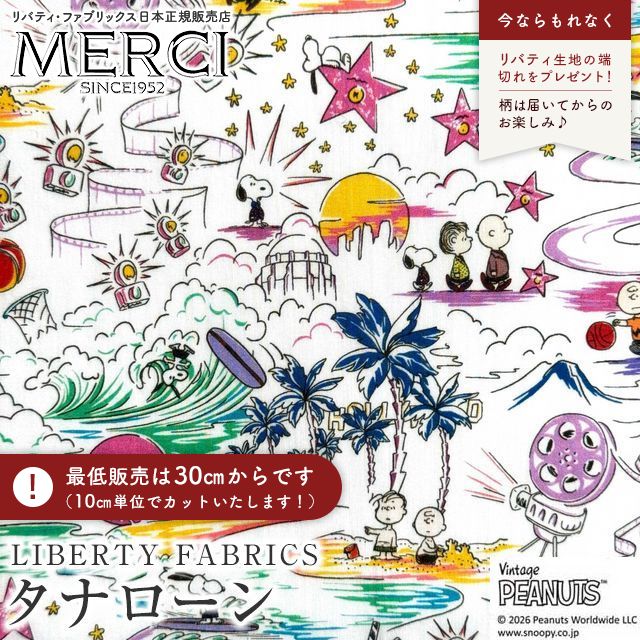 ���̑��̉摜