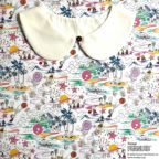 ���̑��̉摜