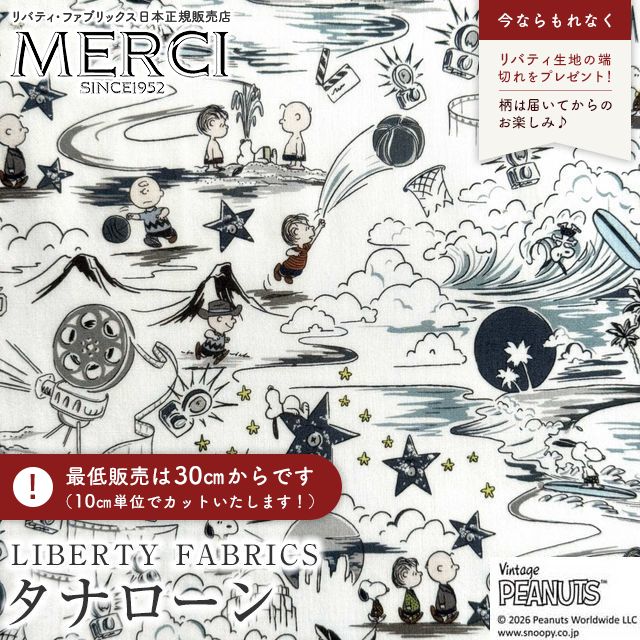 ���̑��̉摜