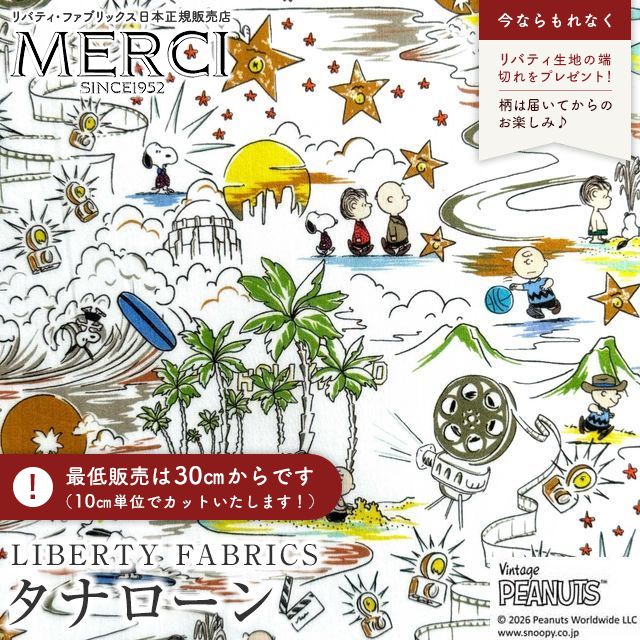 ���̑��̉摜