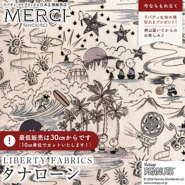 ���̑��̉摜