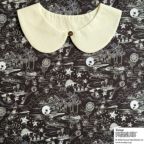 ���̑��̉摜