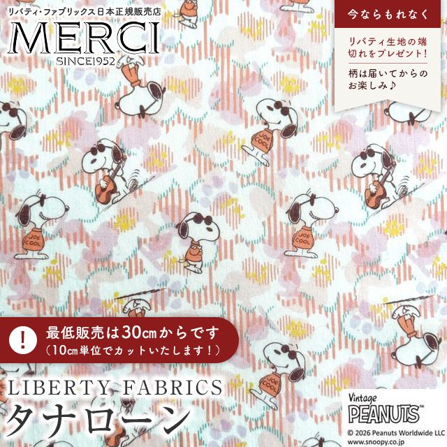 ���̑��̉摜