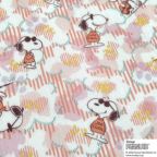 ���̑��̉摜