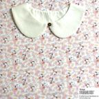 ���̑��̉摜