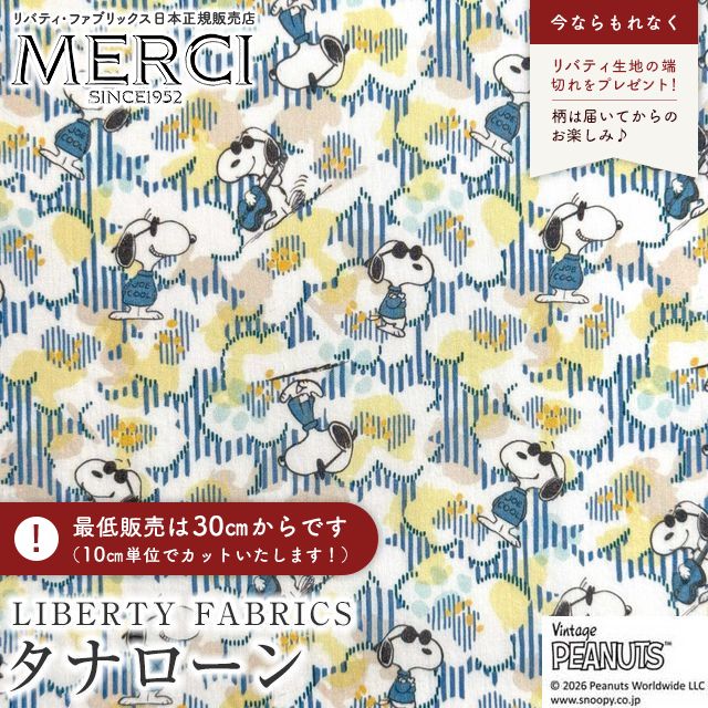 ���̑��̉摜