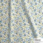 ���̑��̉摜