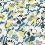 ���̑��̉摜