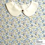 ���̑��̉摜