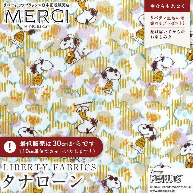 ���̑��̉摜