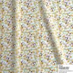 ���̑��̉摜