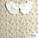 ���̑��̉摜