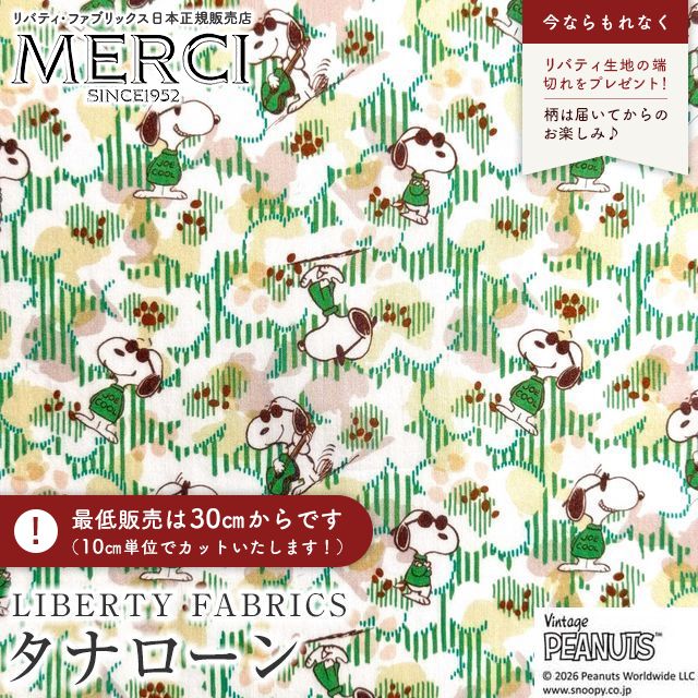 ���̑��̉摜