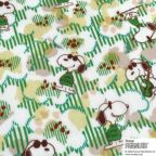 ���̑��̉摜