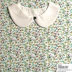 ���̑��̉摜