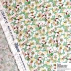 ���̑��̉摜