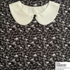 ���̑��̉摜