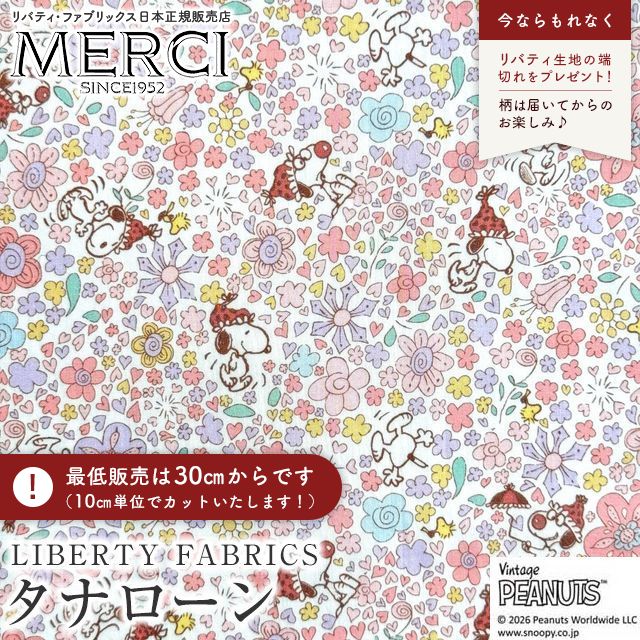 ���̑��̉摜