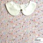 ���̑��̉摜