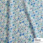 ���̑��̉摜