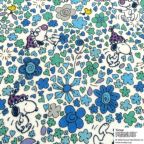 ���̑��̉摜