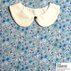 ���̑��̉摜