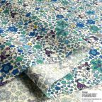 ���̑��̉摜