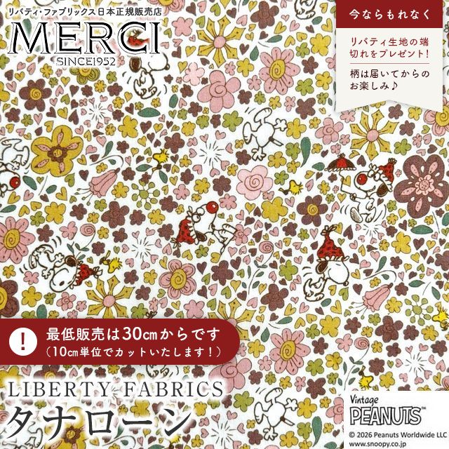 ���̑��̉摜