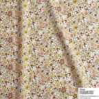 ���̑��̉摜