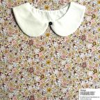 ���̑��̉摜