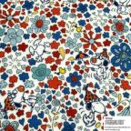 ���̑��̉摜