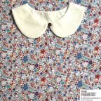 ���̑��̉摜