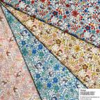 ���̑��̉摜