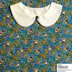 ���̑��̉摜