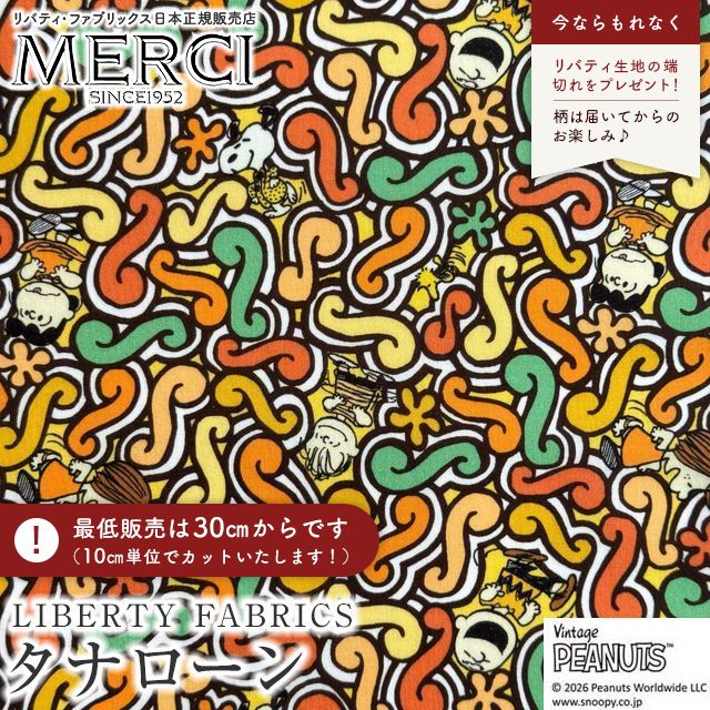 ���̑��̉摜