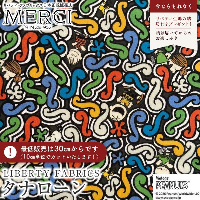 ���̑��̉摜