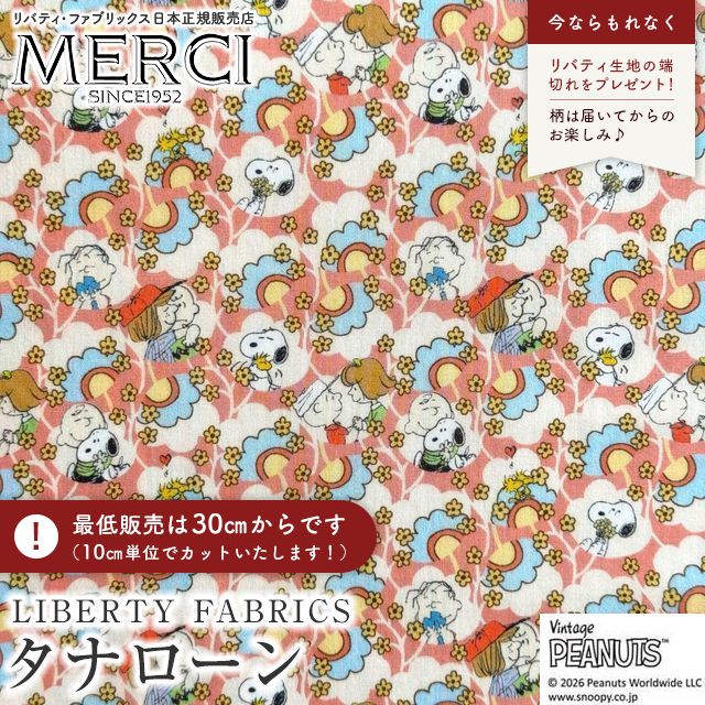 ���̑��̉摜