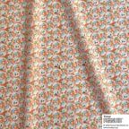 ���̑��̉摜