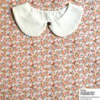 ���̑��̉摜