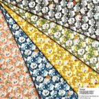 ���̑��̉摜