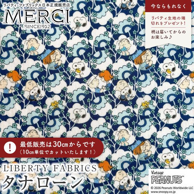 ���̑��̉摜