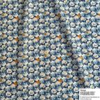 ���̑��̉摜