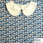 ���̑��̉摜