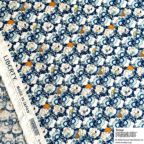 ���̑��̉摜